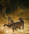 [Clouded Leopards]