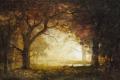 [Forest Sunrise]