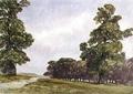 [View in Hyde Park, London]