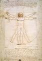 [Vitruvian Man]