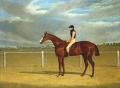 [The Racehorse, The Colonel with William Scott Up]