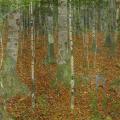 [The Birch Wood]