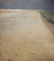 [South Beach of Skagen]