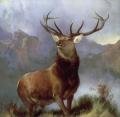 [Monarch of the Glen]