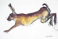 [Jumping Hare]