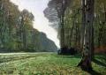 [Road to Bas-Breau, Fontainebleau]