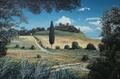 [Lollipop Tree, Umbria]