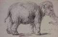 [Elephant]