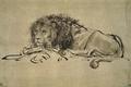 [Lion Resting]