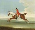 [Galloping Racehorse]