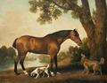 [A Bay Hunter, a Springer Spaniel and a Sussex Spaniel]