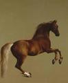 [Whistlejacket]