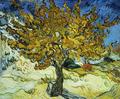 [Mulberry Tree]