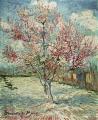 [Peach Tree in Bloom, Souvenir de Mauve]