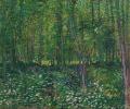 [Woods and Undergrowth]