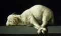 [Agnus Dei, Lamb of God]
